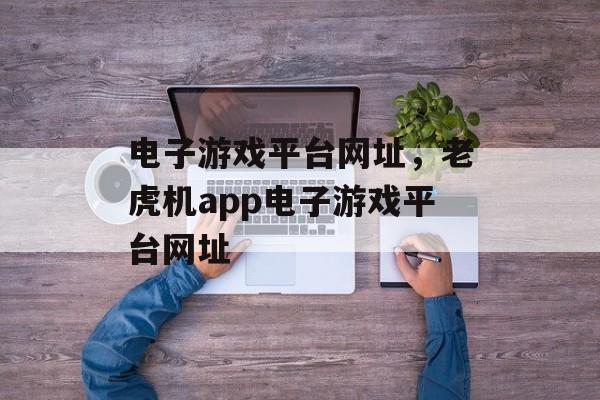 电子游戏平台网址，老虎机app电子游戏平台网址